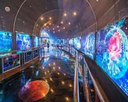 You can also watch numerous space diorama at the exhibition hall.